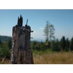 Zdjęcia użytkowników HTC U12+