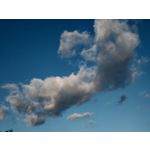 Zdjęcia użytkowników HTC U12+