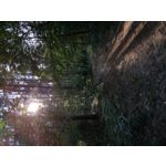 Zdjęcia użytkowników HTC U12+