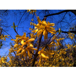 Zdjęcia użytkowników HTC Wildfire Zdjęcia użytkowników HTC Wildfire