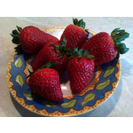 Zdjęcia użytkowników HTC Wildfire Zdjęcia użytkowników HTC Wildfire