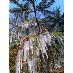 Zdjęcia użytkowników HTC Wildfire Zdjęcia użytkowników HTC Wildfire