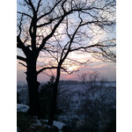 Zdjęcia użytkowników HTC Wildfire Zdjęcia użytkowników HTC Wildfire