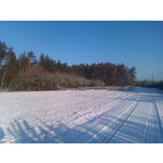 Zdjęcia użytkowników HTC Wildfire Zdjęcia użytkowników HTC Wildfire