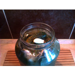 Zdjęcia użytkowników HTC Wildfire Zdjęcia użytkowników HTC Wildfire