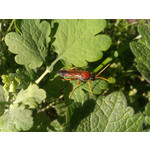 Zdjęcia użytkowników HTC Wildfire Zdjęcia użytkowników HTC Wildfire