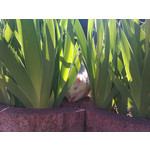 Zdjęcia użytkowników HTC Wildfire Zdjęcia użytkowników HTC Wildfire