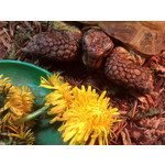 Zdjęcia użytkowników HTC Wildfire Zdjęcia użytkowników HTC Wildfire