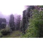 Zdjęcia użytkowników Huawei Ascend G6 LTE