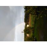 Zdjęcia użytkowników Huawei Ascend G6 LTE