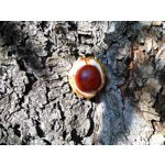 Zdjęcia użytkowników Huawei Ascend G6 LTE