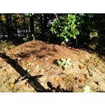 Zdjęcia użytkowników Huawei Ascend G6 LTE