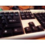 Zdjęcia użytkowników Huawei Ascend Mate 7