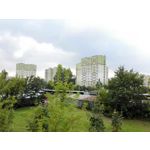 Zdjęcia użytkowników Huawei Ascend Mate 7