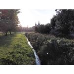 Zdjęcia użytkowników Huawei Ascend Mate 7