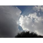 Zdjęcia użytkowników Huawei Ascend Mate 7