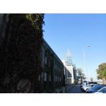 Zdjęcia użytkowników Huawei Ascend Mate 7