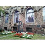 Zdjęcia użytkowników Huawei Ascend Mate 7