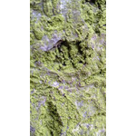 Zdjęcia użytkowników Huawei Ascend P1 Zdjęcia użytkowników Huawei Ascend P1