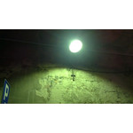 ZDJĘCIA Z TEGO TELEFONU