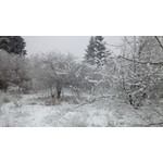 Zdjęcia użytkowników Huawei Ascend P1 Zdjęcia użytkowników Huawei Ascend P1