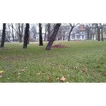 ZDJĘCIA Z TEGO TELEFONU