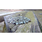 Zdjęcia użytkowników Huawei Ascend P1 Zdjęcia użytkowników Huawei Ascend P1