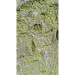 Zdjęcia użytkowników Huawei Ascend P1 Zdjęcia użytkowników Huawei Ascend P1