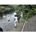 Zdjęcia użytkowników Huawei Ascend P6