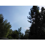 Zdjęcia użytkowników Huawei Ascend P7 Zdjęcia użytkowników Huawei Ascend P7