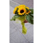 Zdjęcia użytkowników Huawei Ascend P7 Zdjęcia użytkowników Huawei Ascend P7