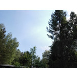 Zdjęcia użytkowników Huawei Ascend P7 Zdjęcia użytkowników Huawei Ascend P7