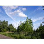 Zdjęcia użytkowników Huawei Ascend P7 Zdjęcia użytkowników Huawei Ascend P7