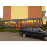 Zdjęcia użytkowników Huawei Ascend Y530