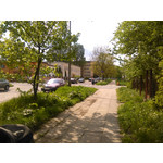 Zdjęcia użytkowników Huawei Ascend Y530