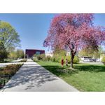 Zdjęcia użytkowników Huawei GX8