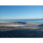 ZDJĘCIA Z TEGO TELEFONU