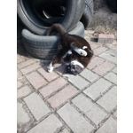 ZDJĘCIA Z TEGO TELEFONU