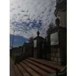 Zdjęcia użytkowników Huawei Mate 10 Lite