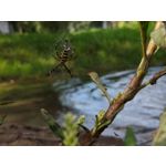 Zdjęcia użytkowników Huawei Mate 10 Pro Dual SIM