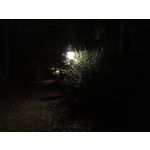 Zdjęcia użytkowników Huawei Mate 10 Pro Dual SIM