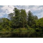 Zdjęcia użytkowników Huawei Mate 10 Pro Dual SIM