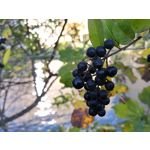 Zdjęcia użytkowników Huawei Mate 10 Pro Zdjęcia użytkowników Huawei Mate 10 Pro