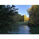 Zdjęcia użytkowników Huawei Mate 10 Pro Zdjęcia użytkowników Huawei Mate 10 Pro