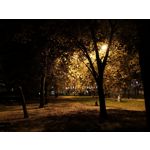 Zdjęcia użytkowników Huawei Mate 10 Pro Zdjęcia użytkowników Huawei Mate 10 Pro