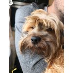 Zdjęcia użytkowników Huawei Mate 10 Pro Zdjęcia użytkowników Huawei Mate 10 Pro