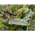 Zdjęcia użytkowników Huawei Mate 10 Pro Zdjęcia użytkowników Huawei Mate 10 Pro