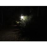 Zdjęcia użytkowników Huawei Mate 10 Pro Zdjęcia użytkowników Huawei Mate 10 Pro