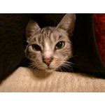 Zdjęcia użytkowników Huawei Mate 10 Pro Zdjęcia użytkowników Huawei Mate 10 Pro