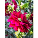 Zdjęcia użytkowników Huawei Mate 10 Pro Zdjęcia użytkowników Huawei Mate 10 Pro